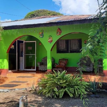 Hospedaje Tropical Dreams South End المظهر الخارجي الصورة