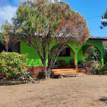 Hospedaje Tropical Dreams South End المظهر الخارجي الصورة