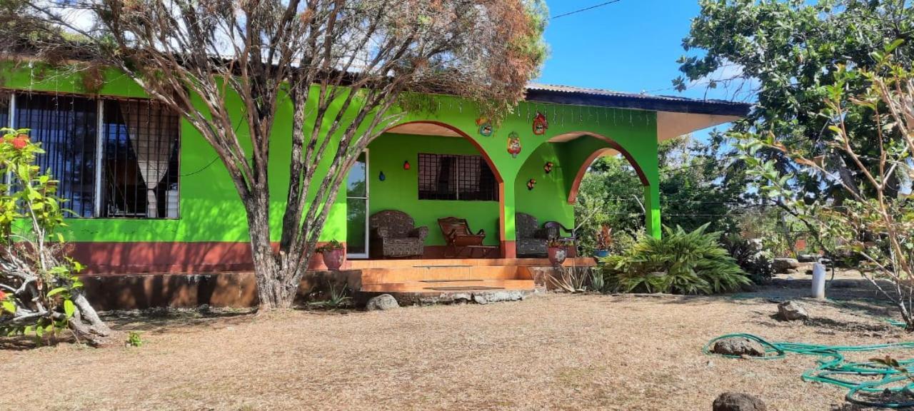Hospedaje Tropical Dreams South End المظهر الخارجي الصورة