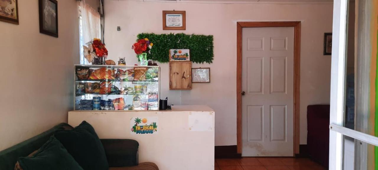 Hospedaje Tropical Dreams South End المظهر الخارجي الصورة